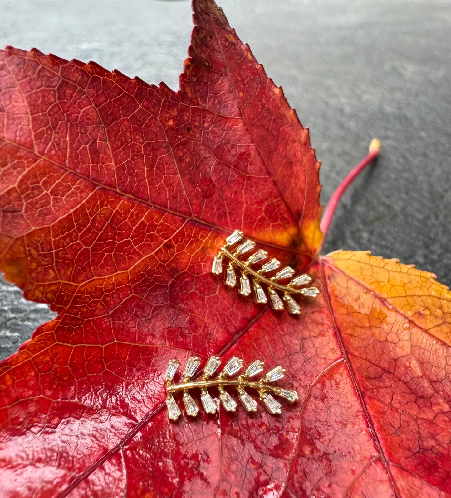 Aros de Oro Amarillo 14k Diseño Hojas